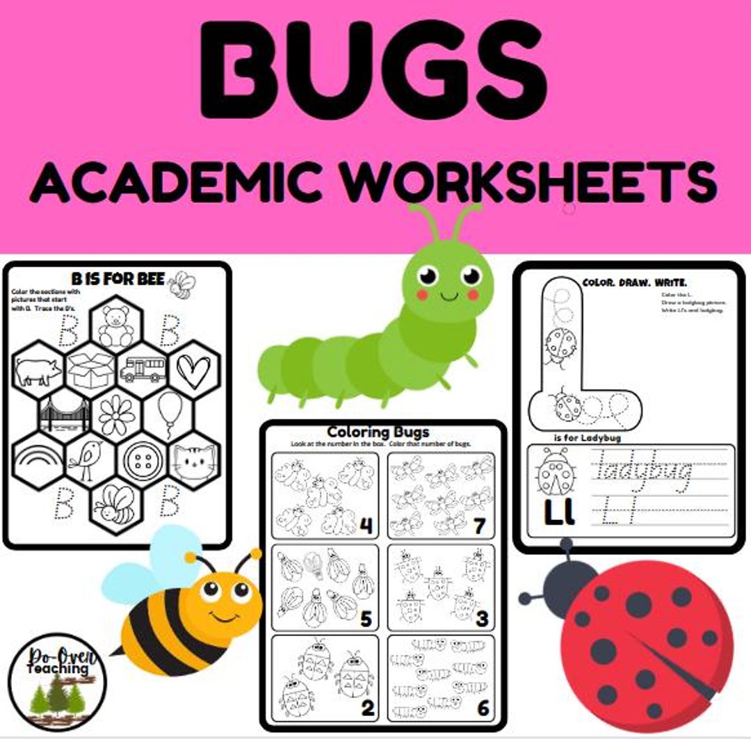 Bug Insect Academic Worksheets Preschool and Kindergarten Curriculum ...