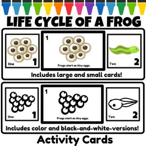 May include: Educational activity cards illustrating the life cycle of a frog. The cards include color and black-and-white versions, with text that reads "LIFE CYCLE OF A FROG" and "Frogs start as tiny eggs." The cards are designed for educational purposes.