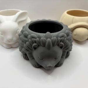 3D printed flower pots