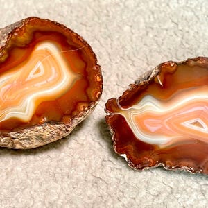 May include: Two polished agate slices. The slices display concentric bands of orange, white, and brown hues. The outer edges have a rough, textured appearance, while the inner patterns are smooth and detailed. These decorative stones are ideal for home decor.