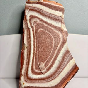 May include: A flat, irregularly shaped slab of stone featuring prominent, concentric banding in alternating shades of deep terracotta red and creamy white. The surface has a matte, textured appearance with visible natural fissures and mineral layers.