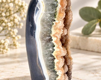 Könnte beinhalten: Eine aufrecht stehende, polierte Achat-Geode mit einer glatten, dunkel anthrazitfarbenen Außenseite und markanten weißen sowie cremefarbenen Bändern. Das Innere zeigt eine texturierte, kristalline Höhle in Bernstein-, Braun- und Weißtönen.