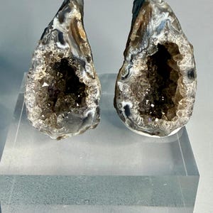 May include: Two teardrop-shaped agate geodes featuring dark brown and white banded outer layers with hollow centers filled with sparkling, translucent brown crystals. The stones are positioned upright on a clear, rectangular acrylic display block.