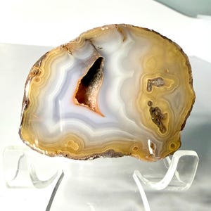 May include: A polished agate geode slice, showcasing concentric bands of white, gray, and golden-brown hues. The center reveals a cavity with a crystalline interior and orange accents. The stone is displayed on a clear acrylic stand, highlighting its natural beauty.