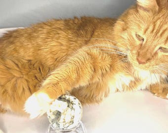 Cat Chosen Tumbled Crystal, Intuitive Mystery Stone, Psychic Pet Reading