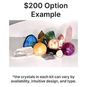 May include: A collection of various crystals, including a blue labradorite, a clear quartz point, and a pink quartz tower. The text "$200 Option Example" is at the top. The text at the bottom says "*the crystals in each kit can vary by availability, intuitive design, and type."