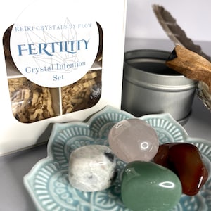 May include: A set of four crystals in a small blue and white ceramic dish. The crystals are rose quartz, clear quartz, green aventurine, and red jasper. The crystals are arranged in a circle. The dish is on a white surface. The text on the box reads "Reiki-Crystals by Flow Fertility Crystal Intention Set".