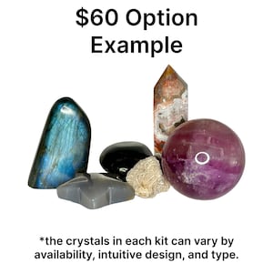 May include: A collection of crystals, including a blue-grey labradorite, a black stone, a star-shaped grey stone, a beige stone, a striped crystal point, and a purple sphere. Text reads "$60 Option Example".