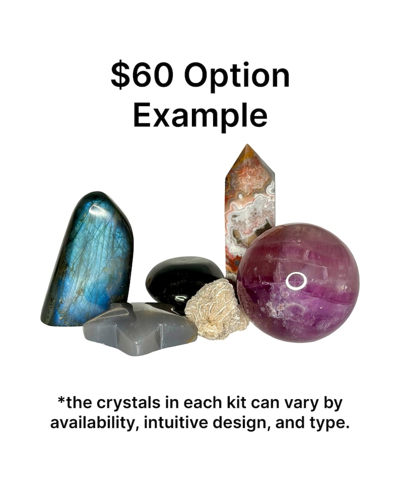 May include: A collection of crystals, including a blue-grey labradorite, a black stone, a star-shaped grey stone, a beige stone, a striped crystal point, and a purple sphere. Text reads "$60 Option Example".