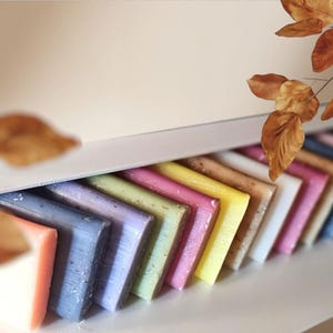 Natural French Mini Soap Bars: Assorted Scents, Travel Size, Guest, Hotel - Maître Savonitto