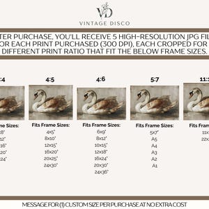 May include: A digital art listing for a swan painting, featuring five different aspect ratios: 3:4, 4:5, 4:6, 5:7, and 11:14. The text lists various frame sizes in inches, such as 6x8, 8x10, 12x16, 16x20, 20x30, 24x36, 11x14, and 22x28 inches.