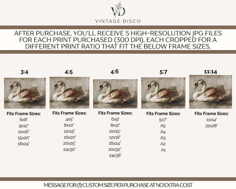 May include: A digital art listing for a swan painting, featuring five different aspect ratios: 3:4, 4:5, 4:6, 5:7, and 11:14. The text lists various frame sizes in inches, such as 6x8, 8x10, 12x16, 16x20, 20x30, 24x36, 11x14, and 22x28 inches.