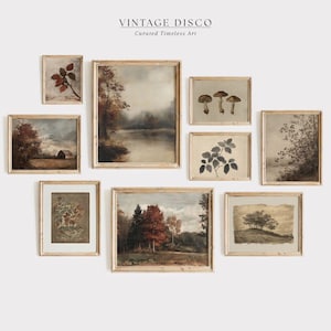 Può includere: Una collezione di stampe artistiche vintage incorniciate. Le stampe presentano temi paesaggistici e botanici in tonalità tenui, tra cui una scena lacustre, alberi e funghi. Il testo "VINTAGE DISCO Curated Timeless Art" è in alto.
