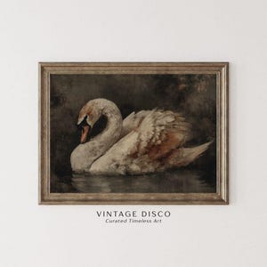 Moody Dark Academia Swan Print -  Rustic French Country Farmhouse Printable, Cottagecore Classic Bird Art