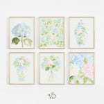 Prints