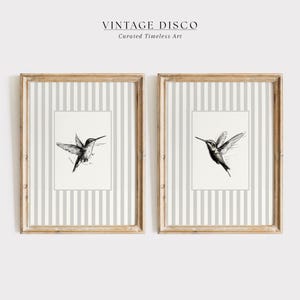 Puede incluir: Dos impresiones artísticas enmarcadas con ilustraciones de colibríes. Cada impresión tiene un fondo a rayas gris claro y blanco y un marco de madera. El texto "VINTAGE DISCO Curated Timeless Art" está en la parte superior.