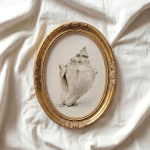May include: An oval-shaped gold frame with ornate, embossed detailing surrounds a charcoal drawing of a seashell. The artwork features a detailed sketch of a conch shell rendered in shades of gray and black on a light, off-white paper background.