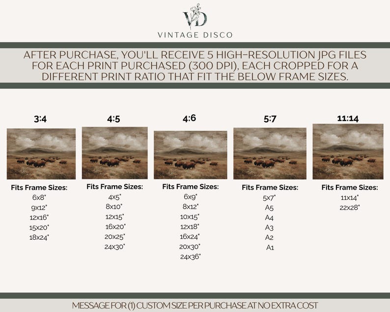 May include: Digital art print featuring a herd of bison grazing in a field under a cloudy sky. The image is available in multiple aspect ratios and sizes, including 6x8 inches, 9x12 inches, and 12x16 inches. The text on the image states that you will receive 5 high-resolution JPG files.
