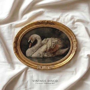 Moody Dark Academia Swan Print -  Rustic French Country Farmhouse Printable, Cottagecore Classic Bird Art