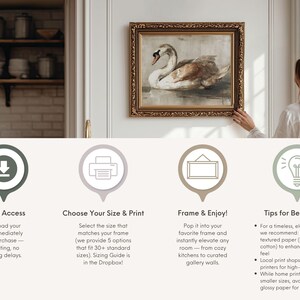 May include: A digital art print featuring a swan swimming in water, displayed in an ornate gold frame. Below the image, four circular icons represent instructions: Instant Access, Choose Your Size & Print, Frame & Enjoy, and Tips for Best Results.