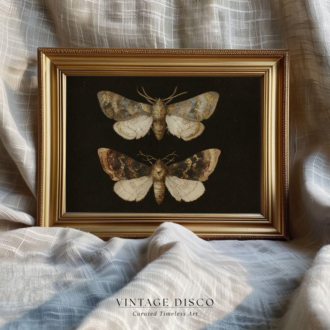 Vintage Moth Print – Dark Academia, Gilded Insect Art (digital Download ...