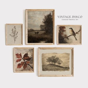 Könnte beinhalten: Fünf gerahmte Vintage-Kunstdrucke. Die Drucke zeigen botanische Illustrationen, eine Landschaft mit Kühen, einen Vogel auf einem Ast und eine sepiafarbene Landschaft mit Bäumen. Die Rahmen sind hellbraun. Der Text "VINTAGE DISCO Curated Timeless Art" ist sichtbar.