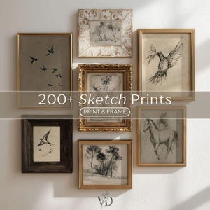 May include: A selection of framed sketch prints, featuring images of birds, trees, and a horse, in gold, brown, and white frames. The image includes the text "200+ Sketch Prints" and "Print & Frame."