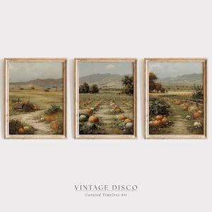 May include: A triptych of framed landscape prints depicting a pumpkin field and rural scenes. The artwork uses a vintage style with warm colours of orange, green, and brown. The prints are in wooden frames and feature the text "VINTAGE DISCO" at the bottom.