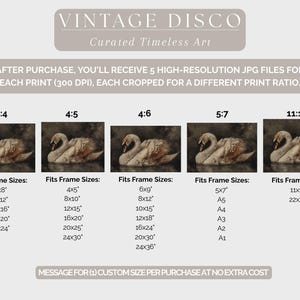 Pu&ograve; includere: Stampa artistica vintage con due cigni su sfondo scuro. L'immagine &egrave; disponibile in pi&ugrave; formati, con dimensioni dei telai suggerite da 10 cm x 13 cm a 61 cm x 91 cm. Il testo "VINTAGE DISCO" e "Curated Timeless Art" sono in alto.