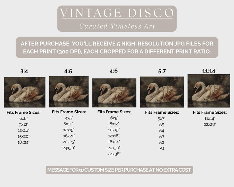 Pu&ograve; includere: Stampa artistica vintage con due cigni su sfondo scuro. L'immagine &egrave; disponibile in pi&ugrave; formati, con dimensioni dei telai suggerite da 10 cm x 13 cm a 61 cm x 91 cm. Il testo "VINTAGE DISCO" e "Curated Timeless Art" sono in alto.