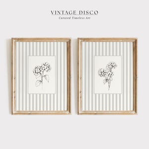 May include: Two framed botanical prints featuring black and white hydrangea illustrations. The prints are set against a gray and white striped background, with wooden frames. The text "VINTAGE DISCO" and "Curated Timeless Art" is at the top.