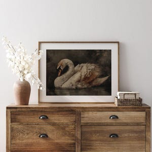 Moody Dark Academia Swan Print -  Rustic French Country Farmhouse Printable, Cottagecore Classic Bird Art