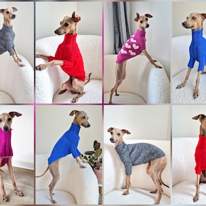 Könnte beinhalten: Eine Collage von acht Bildern, die italienische Windhunde in verschiedenen Strickpullovern mit Rollkragen zeigen. Die Pullover sind in Grau-, Rot-, Rosa- und Blautönen gehalten. Einige Pullover haben Herzmuster. Die Hunde posieren auf einem weißen, strukturierten Sofa.