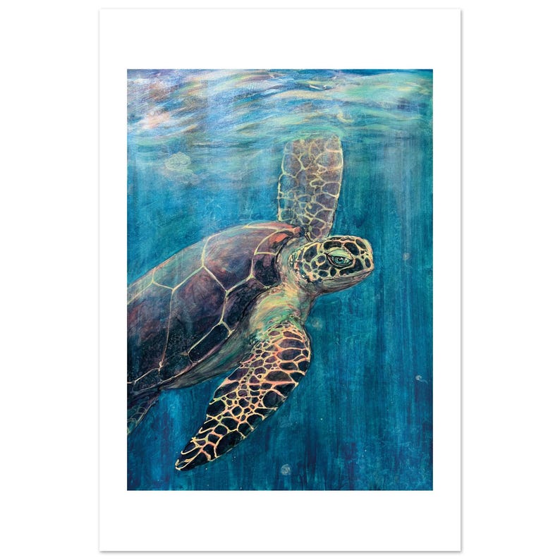 Turtle Gaze by Daniel Wesson: fine art print of a green sea turtle swimming through deep blue water