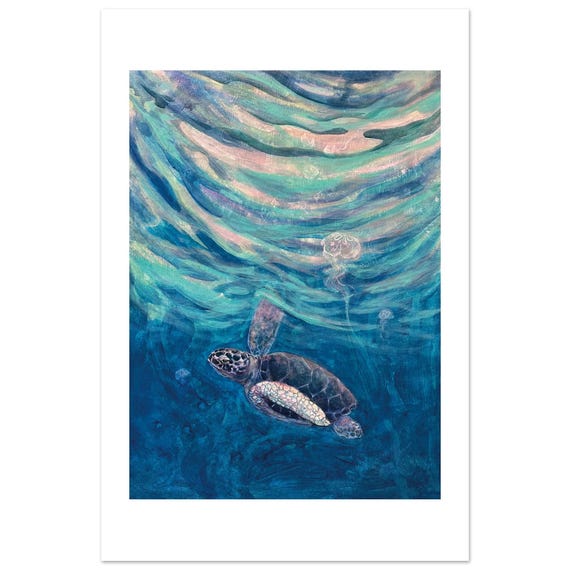 The Turtle's Way fine art print by Daniel Wesson