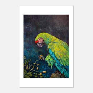 Great Green Macaw art print by Daniel Wesson (macaw wall art), view 3