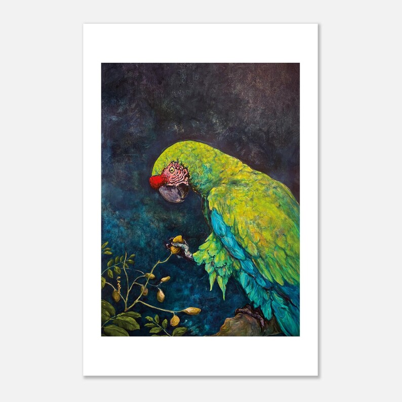 Great Green Macaw art print by Daniel Wesson (macaw wall art), view 3