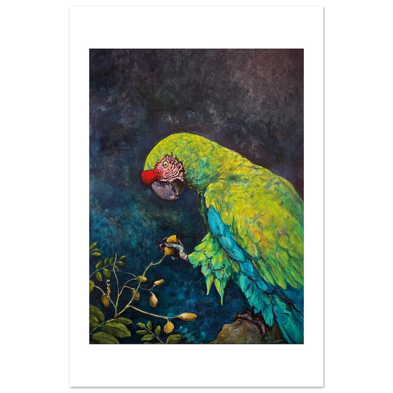 Great Green Macaw by Daniel Wesson: fine art print of a Great Green Macaw parrot with vivid green and turquoise feathers on a dark background