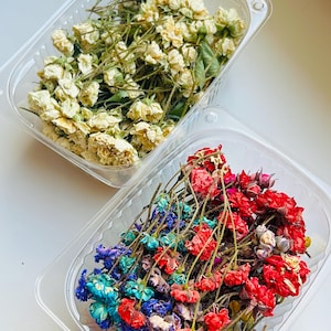 Dried Roses, dried Rose, red dried Roses, miniature Rosebuds, tiny dried flowers for resin, dried plants for crafts