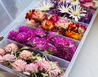 Set of organic dried straw flower heads, dried immortelle, real flower materials for resin, 3D flowers. DIY soap making, DIY candle making