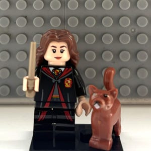 May include: A Lego minifigure of a character from the Harry Potter series, wearing a black and red Hogwarts uniform, holding a wand, and accompanied by a brown cat figure. The minifigure stands on a black base.