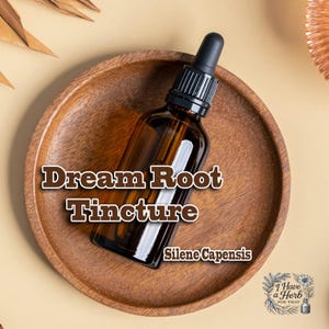 Dream Root • Silene Capensis • African Dream Herb for Lucid Dreaming • Xhosa Ubulawu Root • Enhance Dream Recall • Very Potent TN10