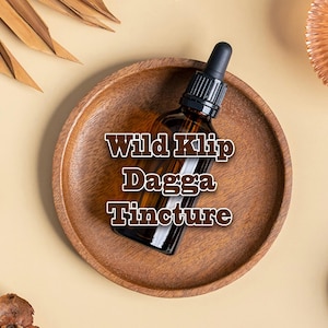 Wild Klip Dagga Herbal Tincture | Leonotis Nepetifolia Extract | Wildcrafted Lion’s Ear Plant | Ethnobotanical Drops TN10