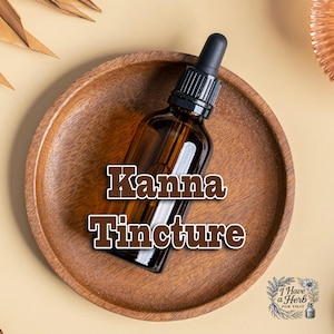 Kanna Tincture • Sceletium tortuosum • Herbal Extract • Wildcrafted Succulent • Alcohol Tincture • Novelty Item TN10