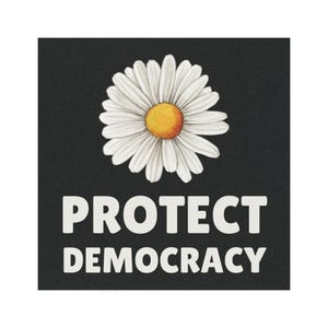 Protect Democracy Car Magnet, Democrat Freedom Decal, Anti Fascism Magnetic Sign, Resistance Protest Injustice,Discrimination Bumper Sticker