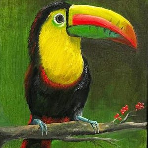 Framed Toucan Bird Oil Painting: Hand-Painted Tropical Art