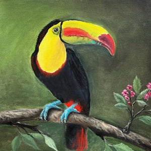 Peinture à l'huile d'oiseau toucan - encadrée, toile noire encadrée de toucan, oeuvre d'art à l'huile d'oiseau toucan peinte à la main, peinture à l'huile colorée de toucan