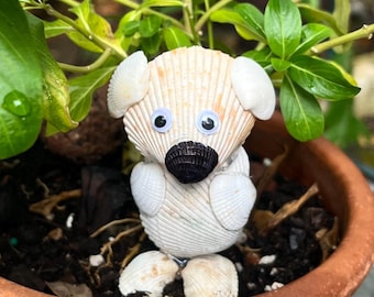 Seashell Animal Art - Laurie the Koala - Etsy