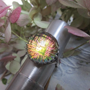 May include: A silver ring with a round iridescent glass stone. The stone has a multi-colored, swirling pattern that resembles a flower.