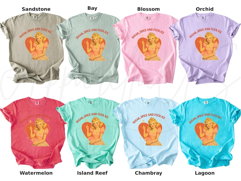 Peut inclure: Huit t-shirts de diff&eacute;rentes couleurs, dont beige, vert, rose, violet, rouge, sarcelle, bleu clair et turquoise. Chaque chemise pr&eacute;sente un graphisme d'une femme &agrave; l'int&eacute;rieur d'un c&oelig;ur avec le texte "SUGAR, SPICE AND FUCK ICE".